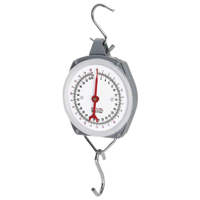 BORMANN DS1100 Ζυγαριά Κρεμαστή Αναλογική 100Kg/100Gr (Εργαστηριακή χρήση)